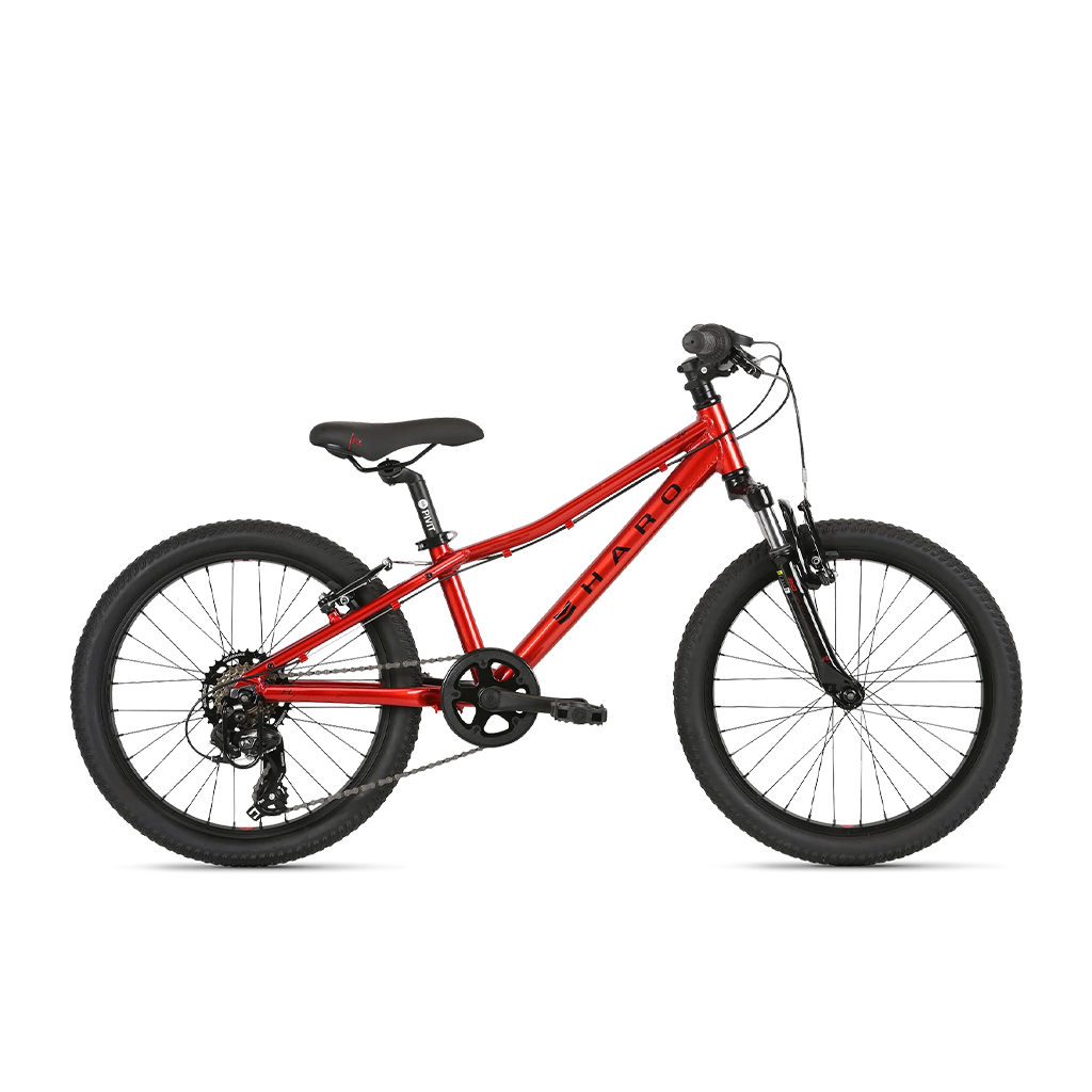 Flightline 20 Martin s Bicycle Shop