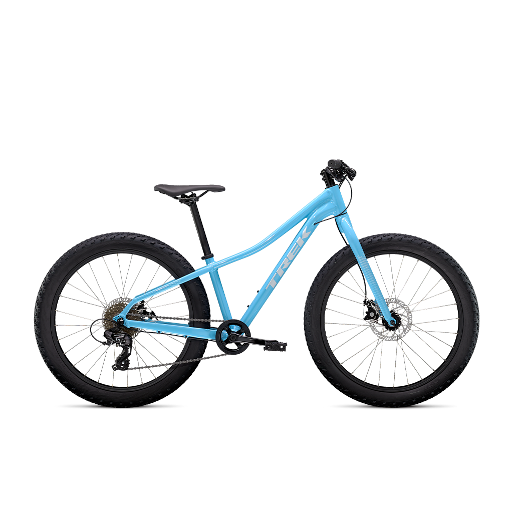 Roscoe 24 – Martin's Bicycle Shop